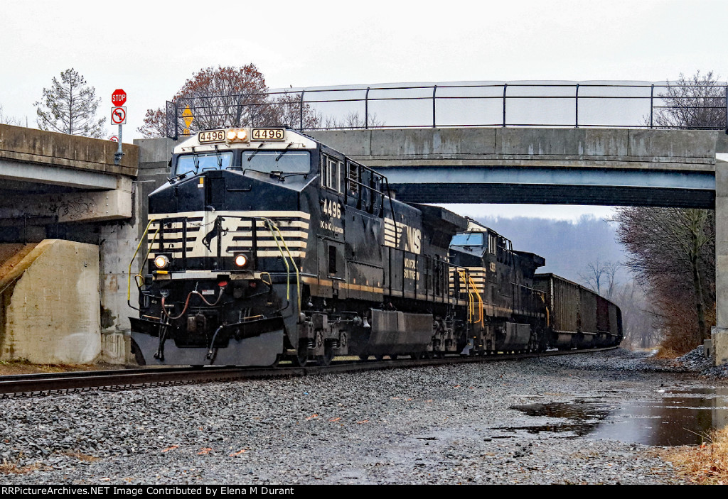 NS 4496 on 597